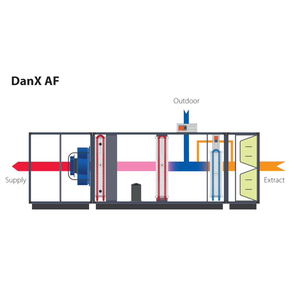 DanX AF 12/24